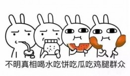 吃瓜群众英文表达怎么说,Evaluating the 'Eating Watermelon Spectator' Phenomenon