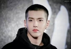 吃瓜娱乐圈大燕子