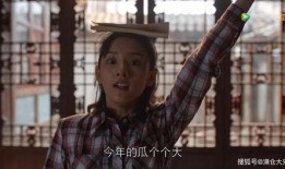 娱乐圈最火的吃瓜人是谁,揭秘幕后真相，揭秘娱乐圈风云人物！