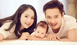 爱娱乐的吃瓜,揭秘明星幕后故事