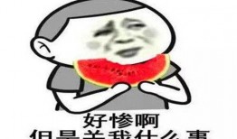 吃瓜群众英文表达怎么说,Evaluating the 'Eating Watermelon Spectator' Phenomenon