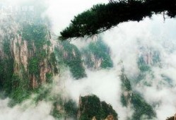 娱乐吃瓜君黄山,揭秘娱乐圈背后的那些事儿