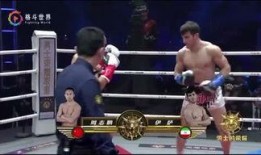 吃瓜娱乐拳击视频大全,吃瓜娱乐拳击视频大全精选集锦